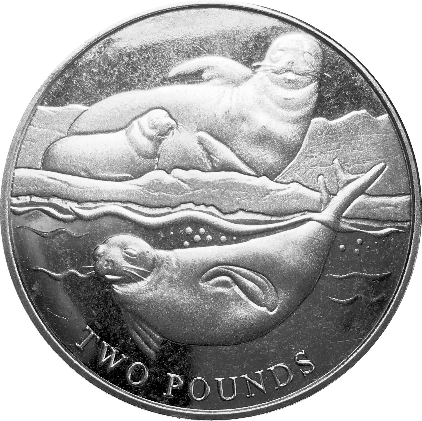 Elizabeth II Crabeater seal