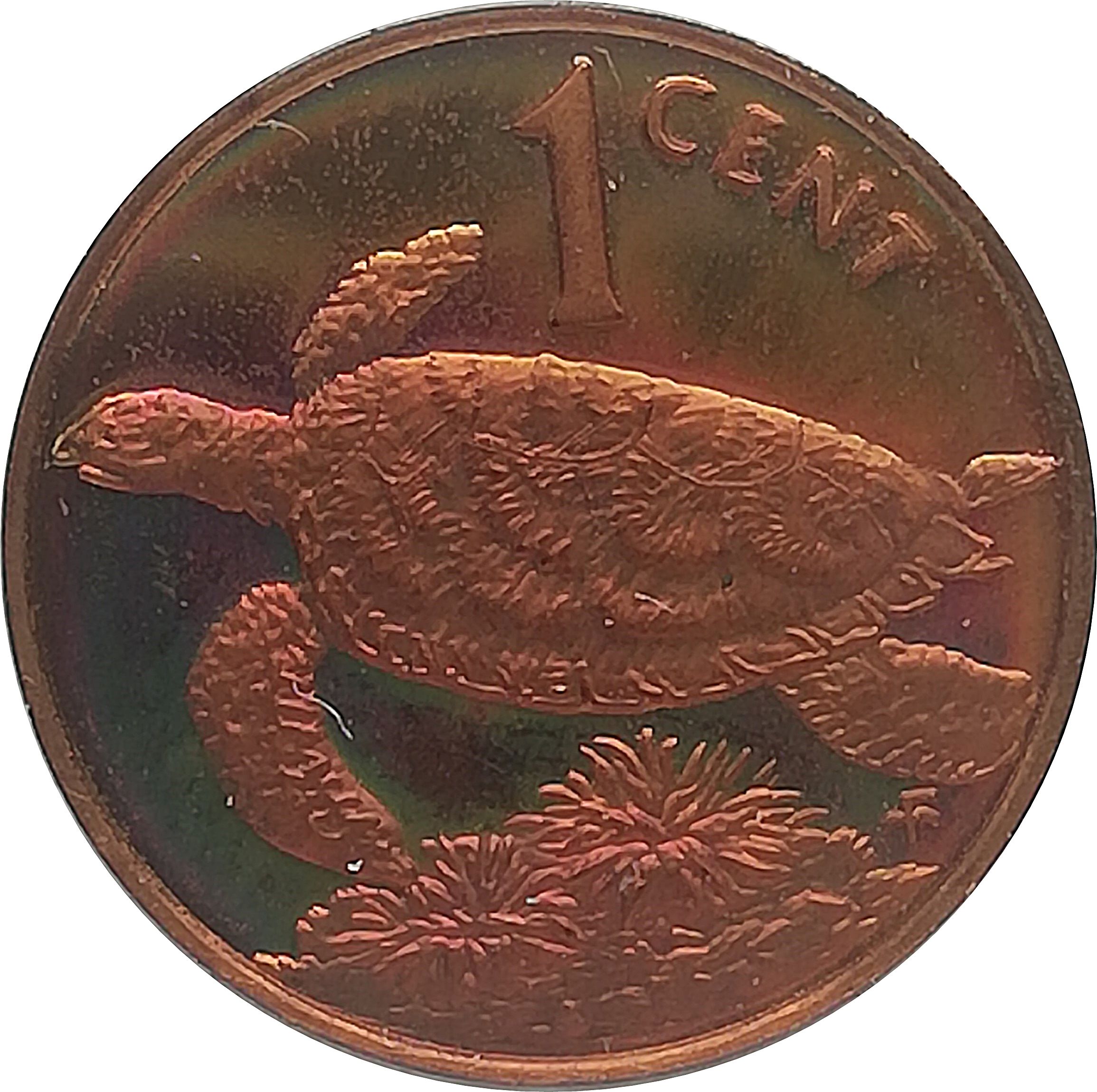 Elizabeth II Hawksbill Turtle