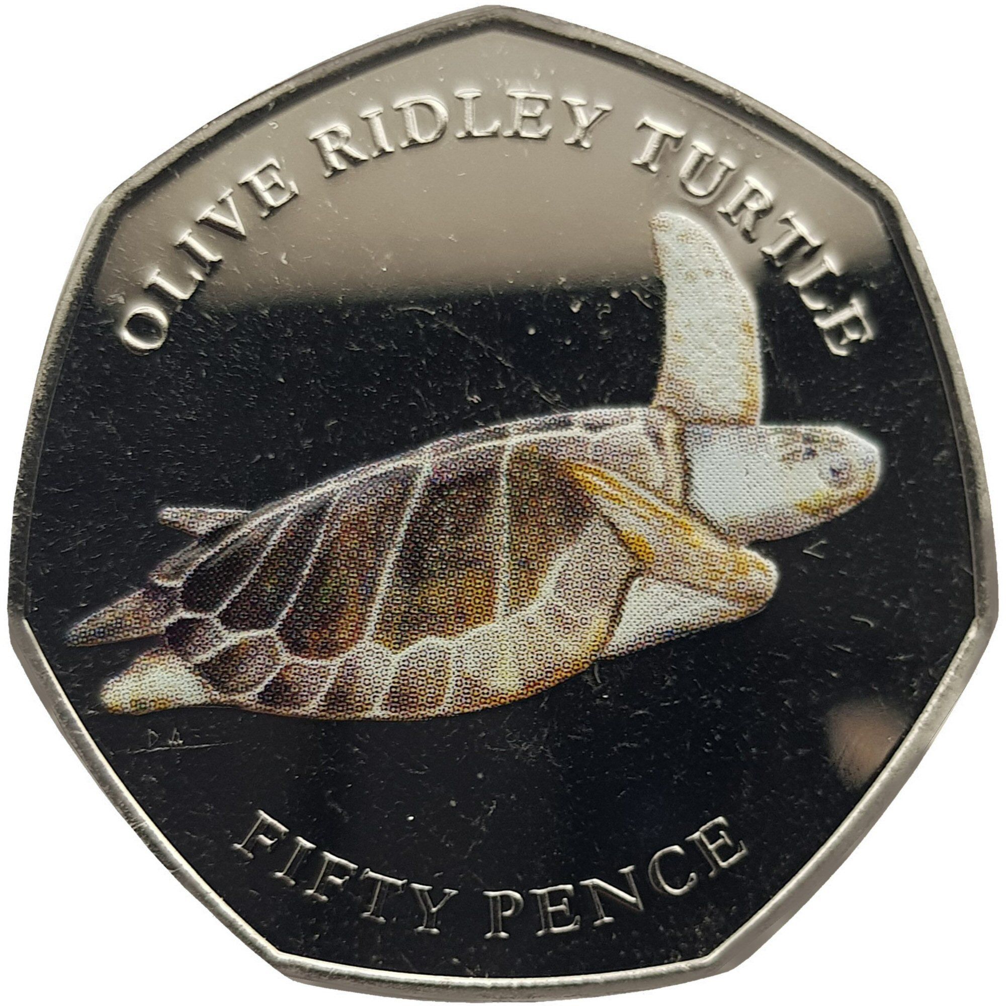 Elizabeth II Olive ridley turtle