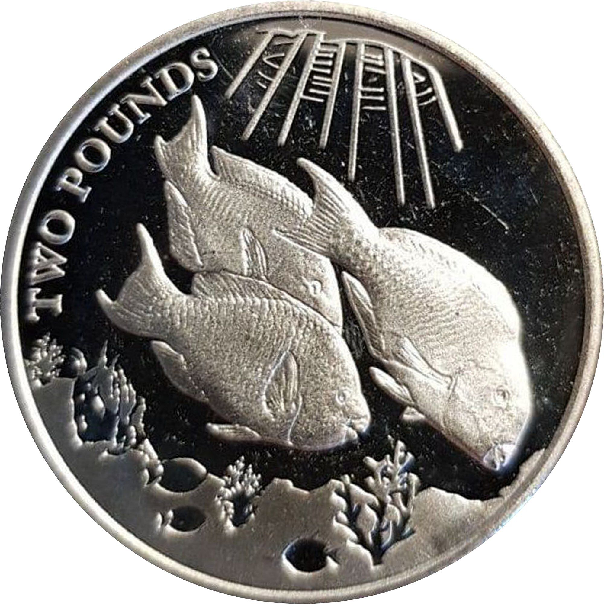 Elizabeth II Parrotfish