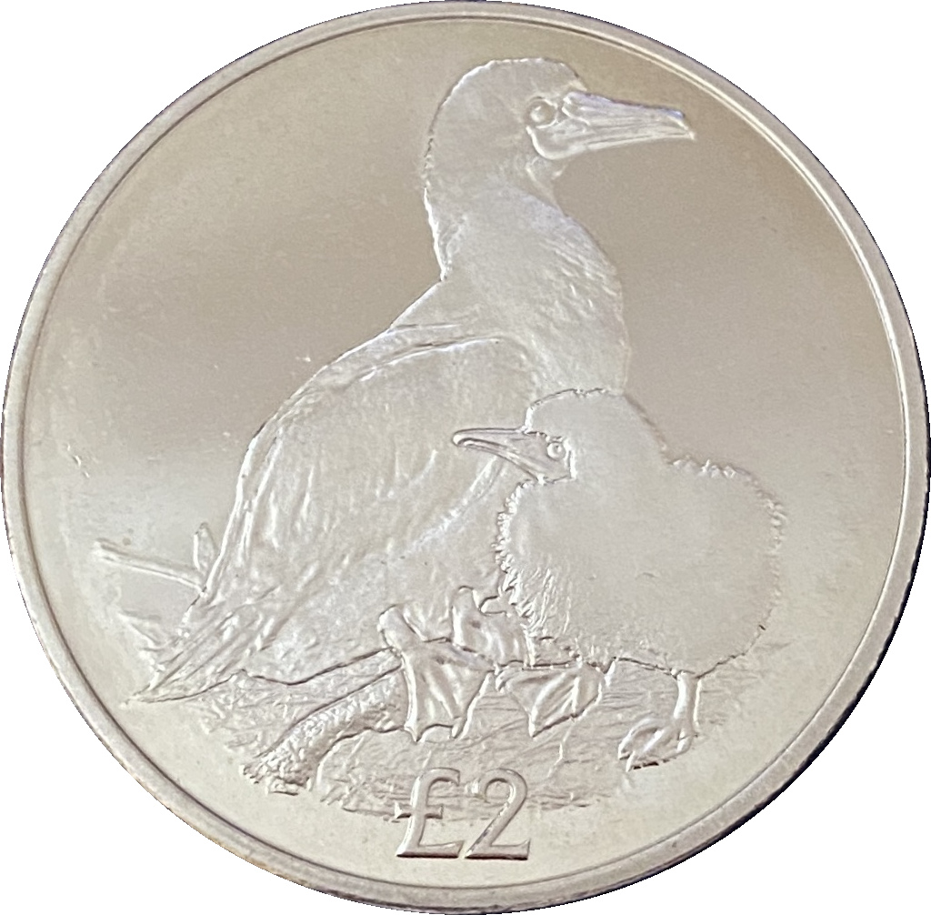 Elizabeth II Red-footed booby