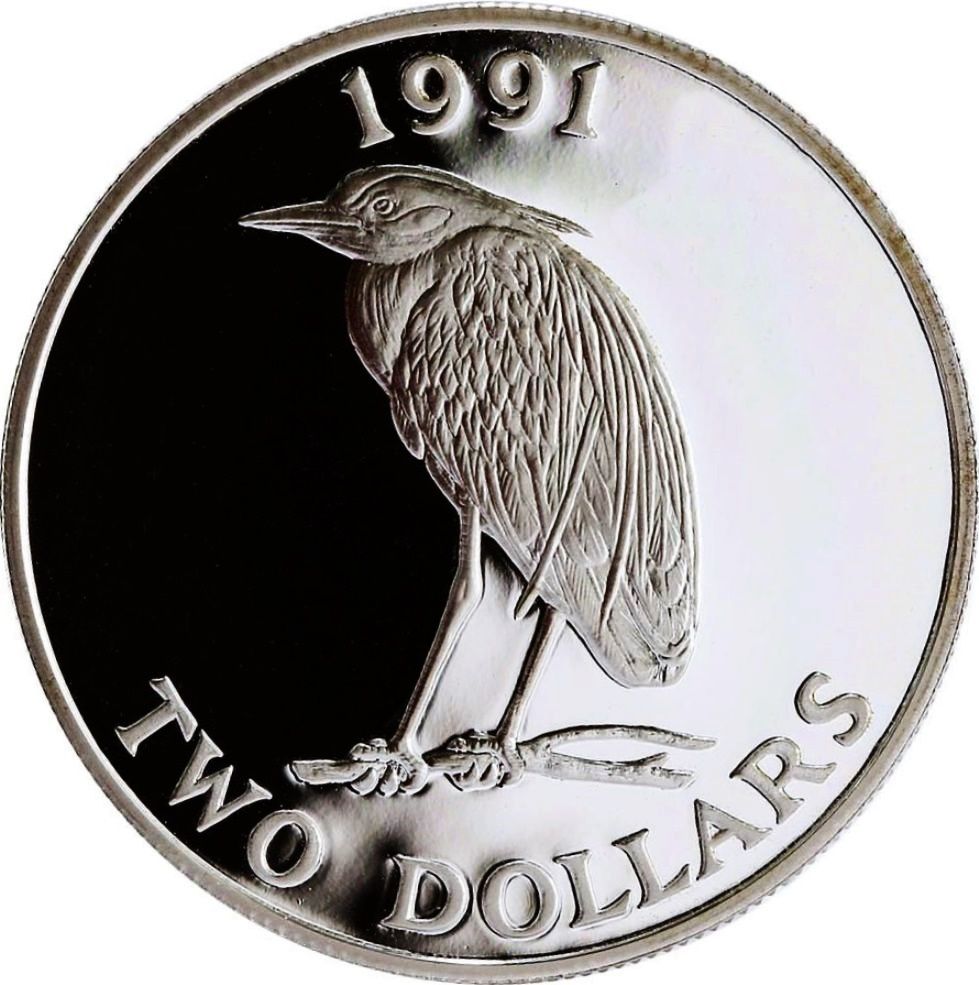 Elizabeth II Yellow-crowned Night Heron